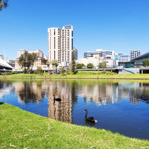 Adelaide Flights