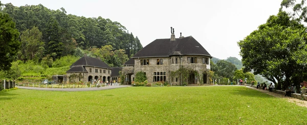 Sri Lanka Tea Trails
