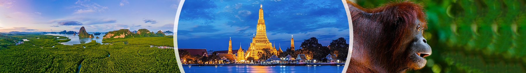 City to Rainforest: 8 Nights of Bangkok & Borneo Discovery
