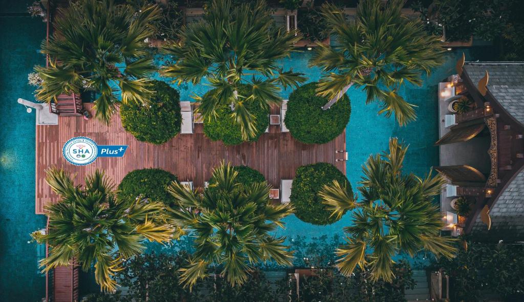 Phuket Flight Deals