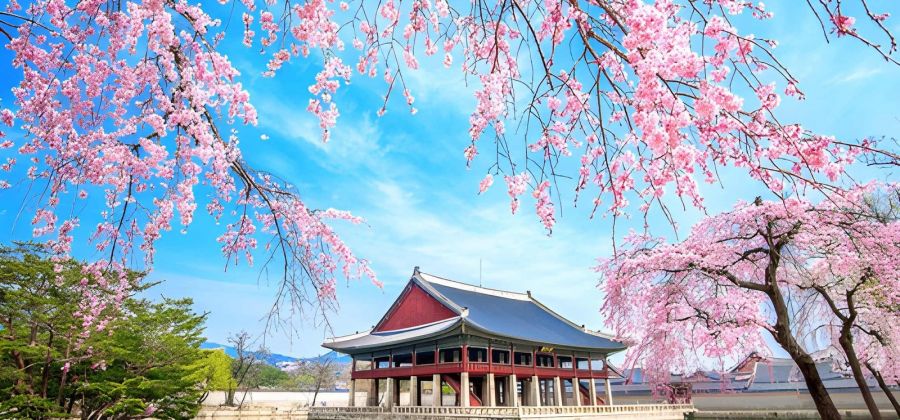 South Korea Twin Centre Escape: Seoul & Busan – 7 Nights