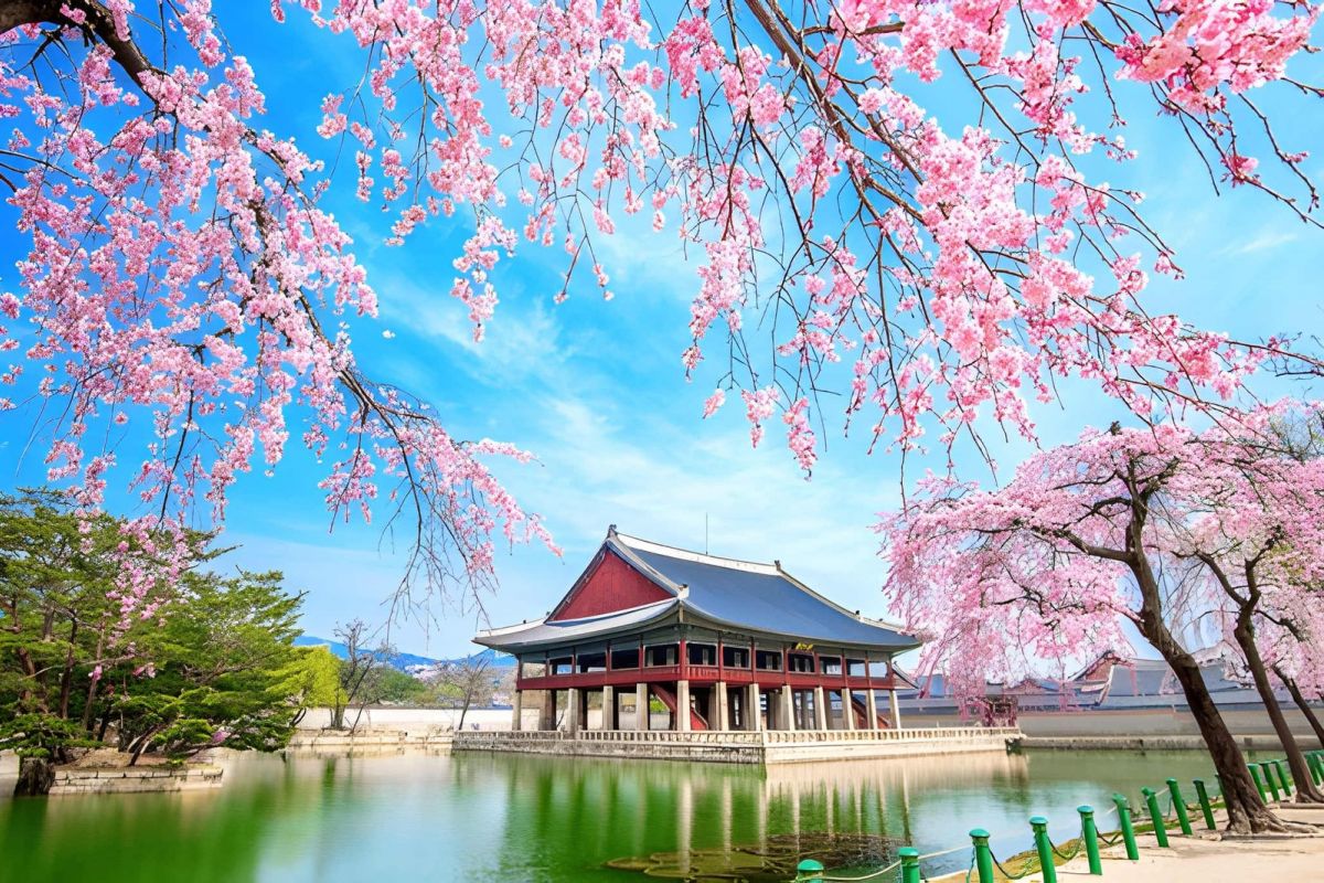 South Korea Twin Centre Escape: Seoul & Busan – 7 Nights