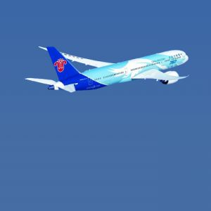 China Southern