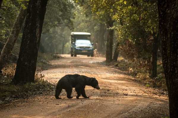 Sri Lanka Wildlife Holiday