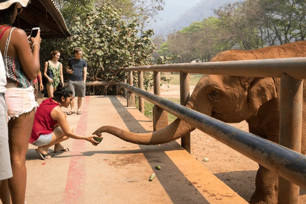 Chiang Mai holiday