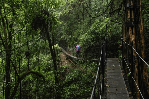 Monteverde