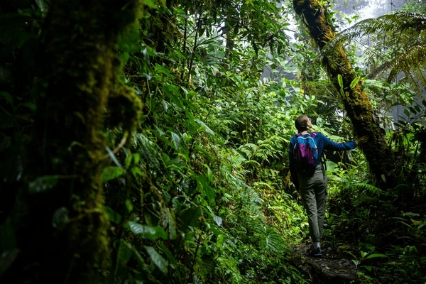 Monteverde