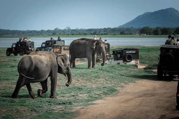 Sri Lanka