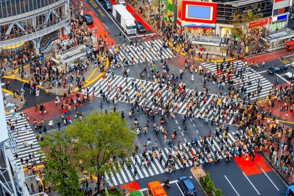 Tokyo & Okinawa