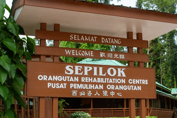 Borneo Holiday