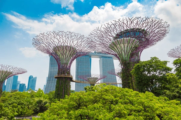 Singapore Holiday Package