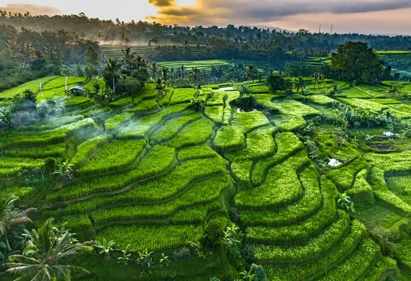 Bali Holiday Package