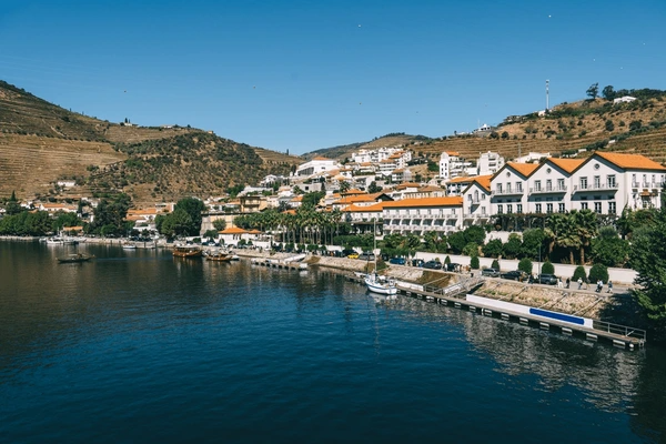 Pinhão