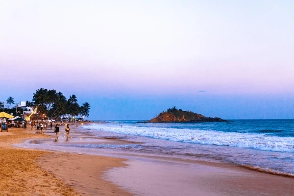 Sri Lanka Safari Odyssey: Nature’s Kingdom