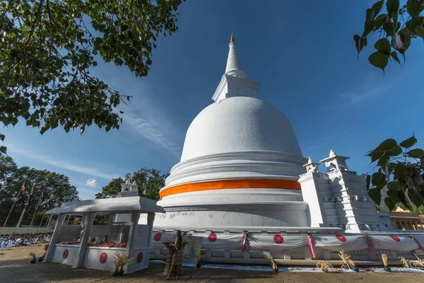 Sri Lanka Safari Odyssey: Nature’s Kingdom