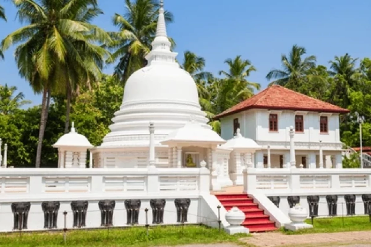 Sri Lanka Safari Odyssey: Nature’s Kingdom