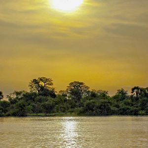 Flights to The Gambia from London