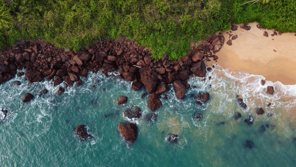 GOA