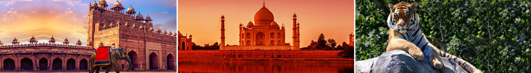 Golden Triangle Tour with Ranthambore and Goa - 11 Nights