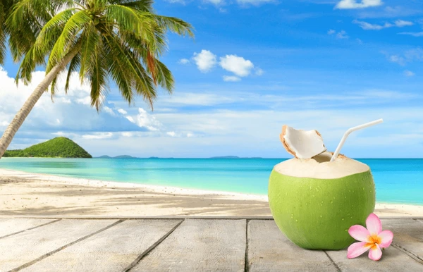 Hawaii Holiday