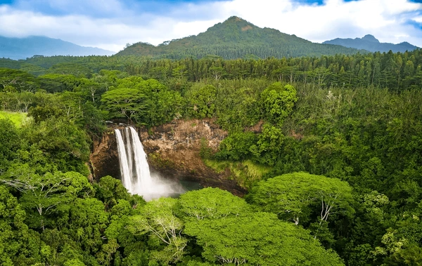 Hawaii Holiday