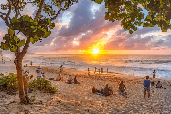 Hawaii Holiday