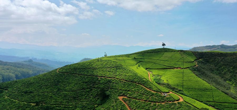 Sri Lanka in Style: An 11-Night Luxury