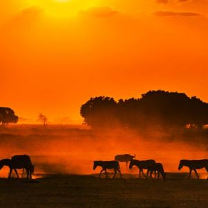 Kenya & Tanzania Hotels