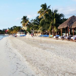 Kingston Flight Deals