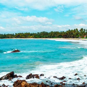 Mirissa Hotels