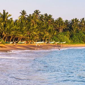 Mirissa Holidays