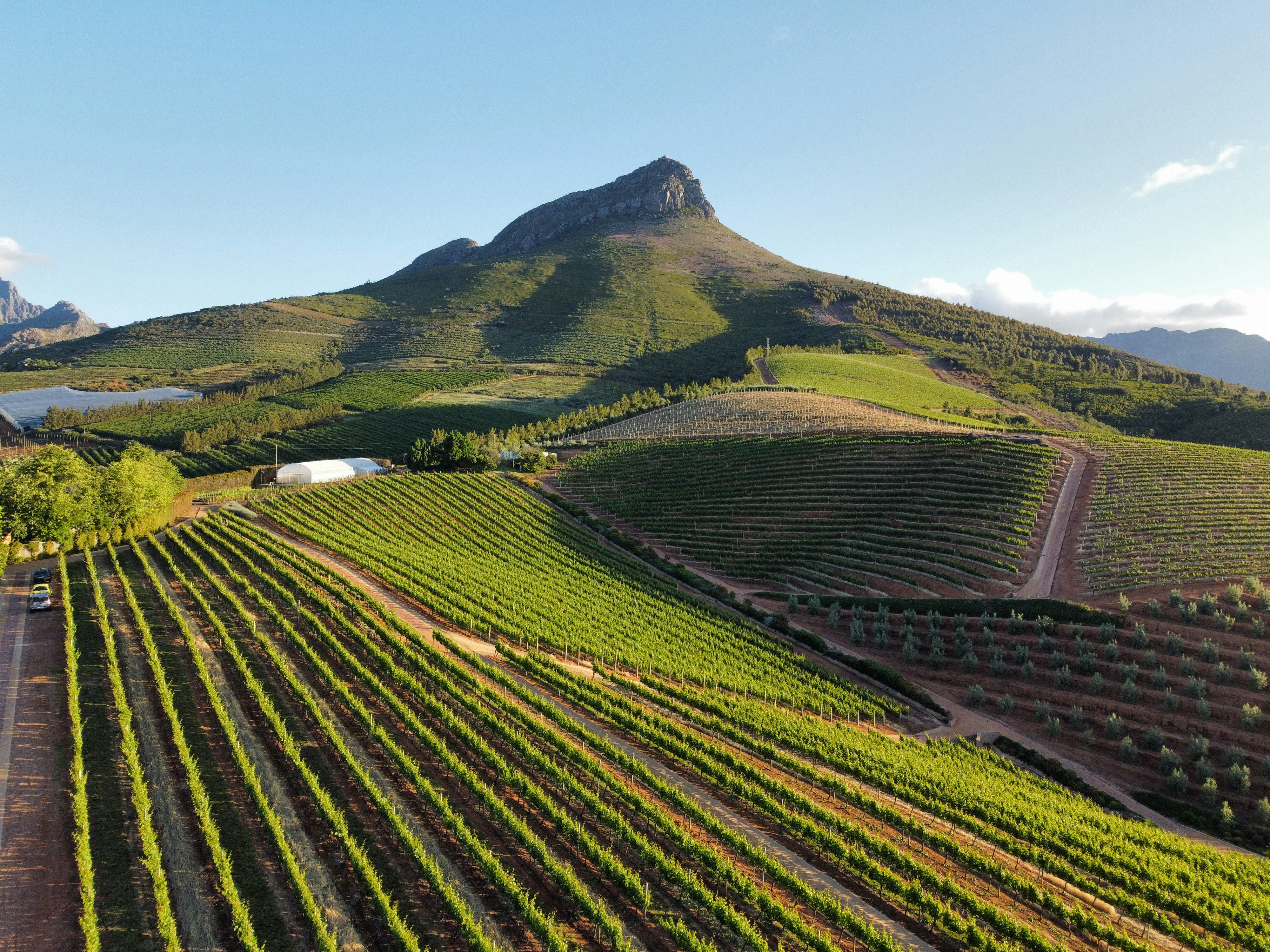 Cape Town & Stellenbosch