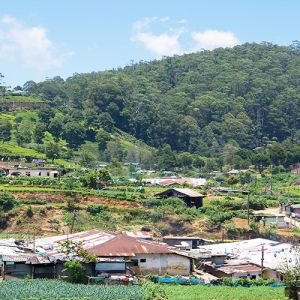 Nuwara Eliya Holidays