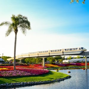 Cheap Flights to Orlando
