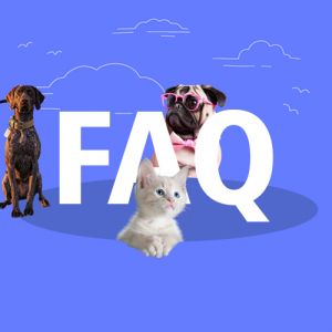 FAQ's - Airline Pet Travel