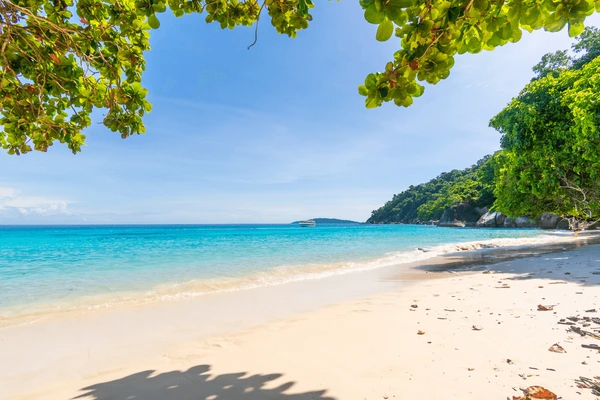 Holiday in Phuket