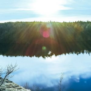 Rochester Flight Deals