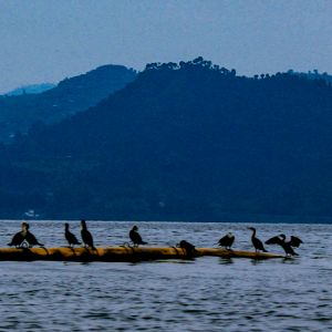 Flights to Rwanda from London