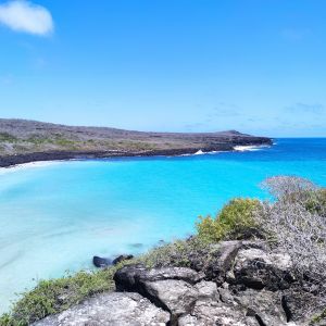 Flights to San Cristobal