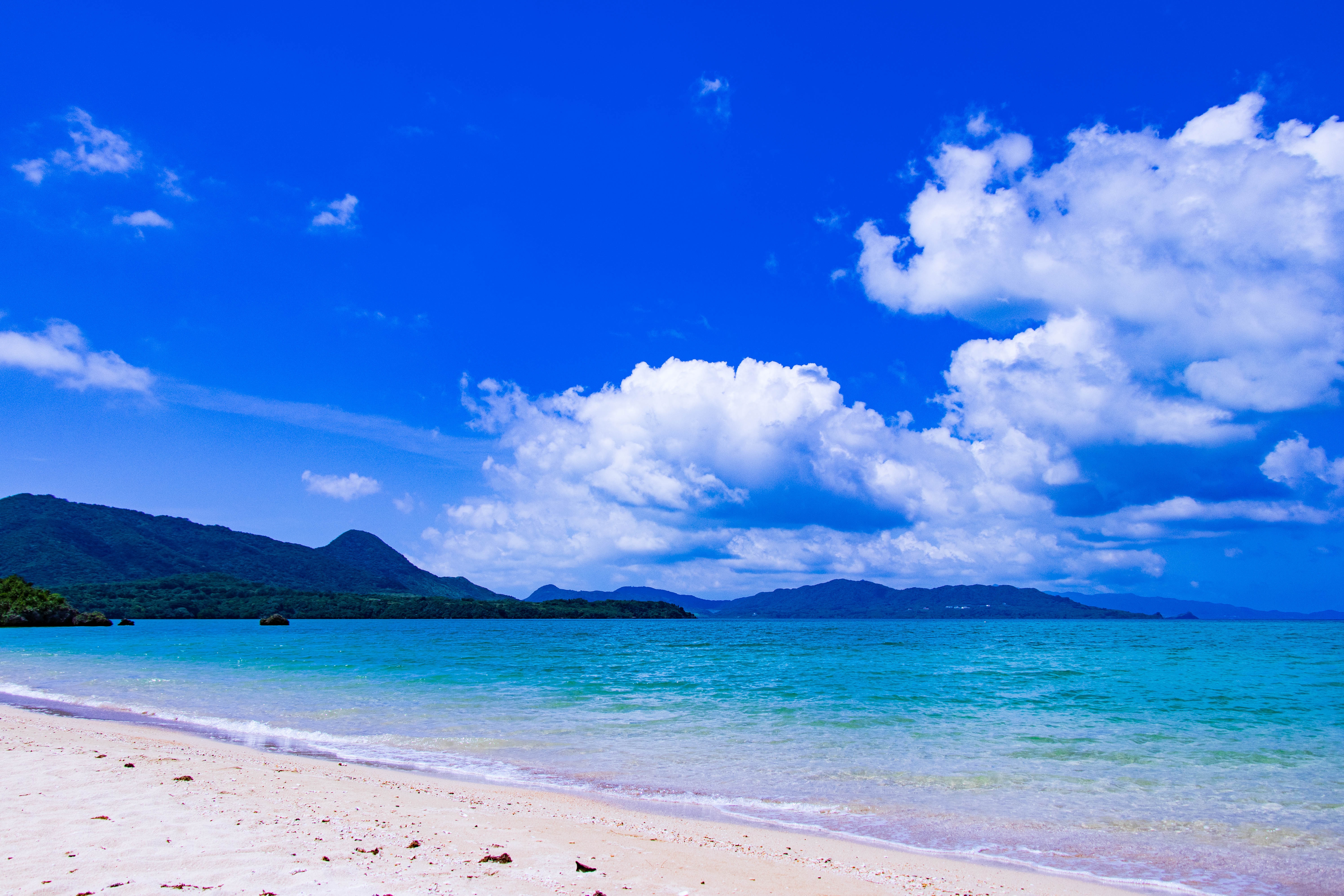 Tokyo & Okinawa