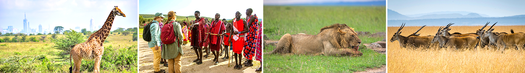 Signature Safari: Kenya & Tanzania – 10 Nights