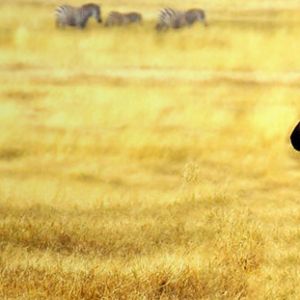 South Africa Holiday Deal