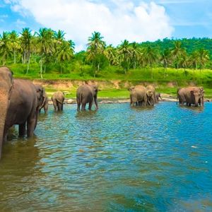 Holidays To Sri Lanka