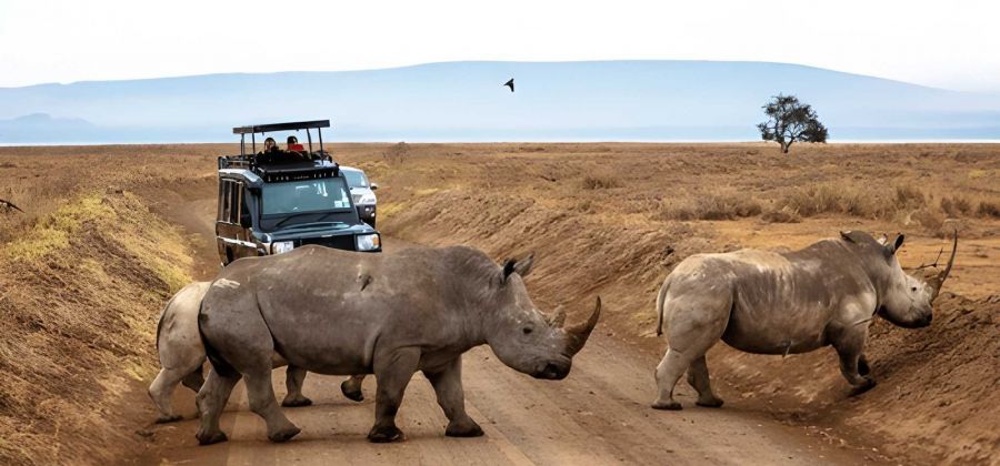 Kenya Holidays