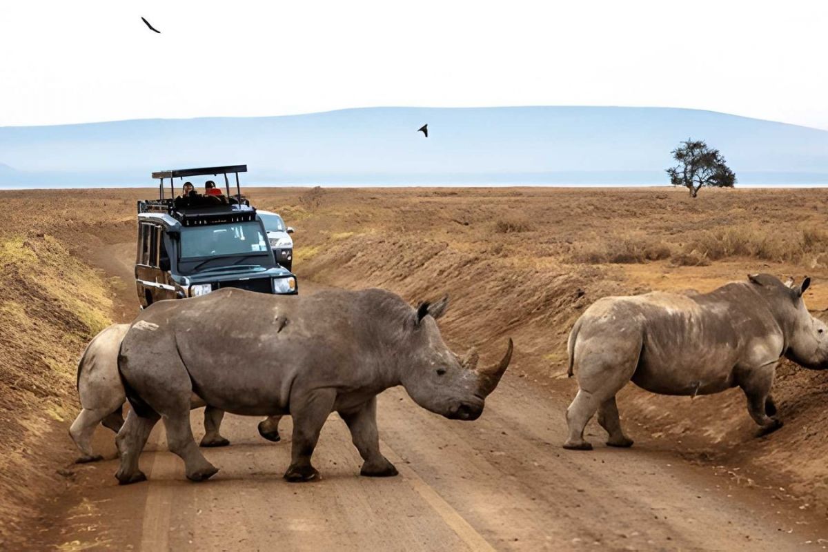 Kenya Holidays