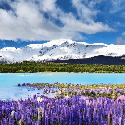 South New Zealand Alpine Escape – 8 Nights