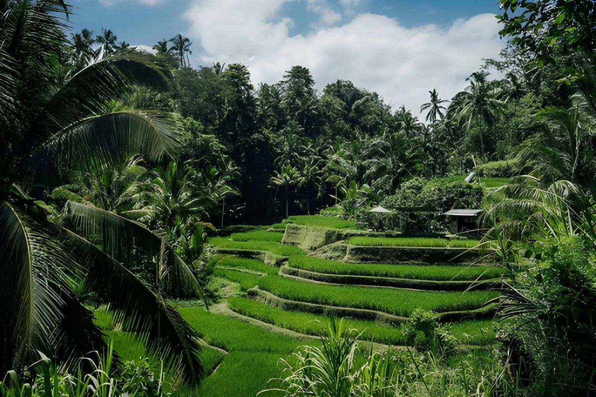 Bali Bliss: Island Dreams & Ubud Serenity – 10 Nights