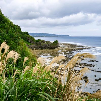 Tokyo & Okinawa