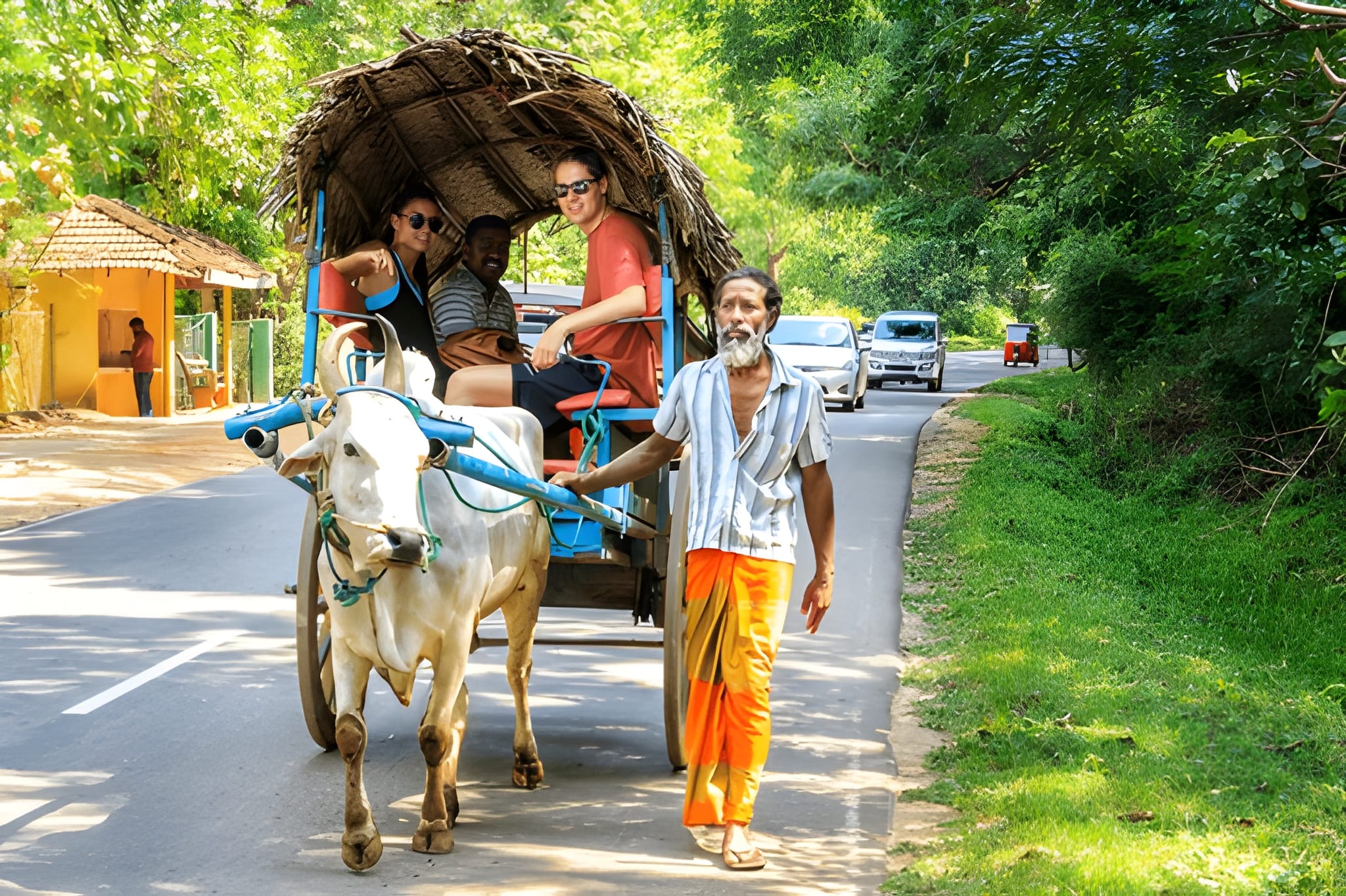 Sri Lanka Holidays