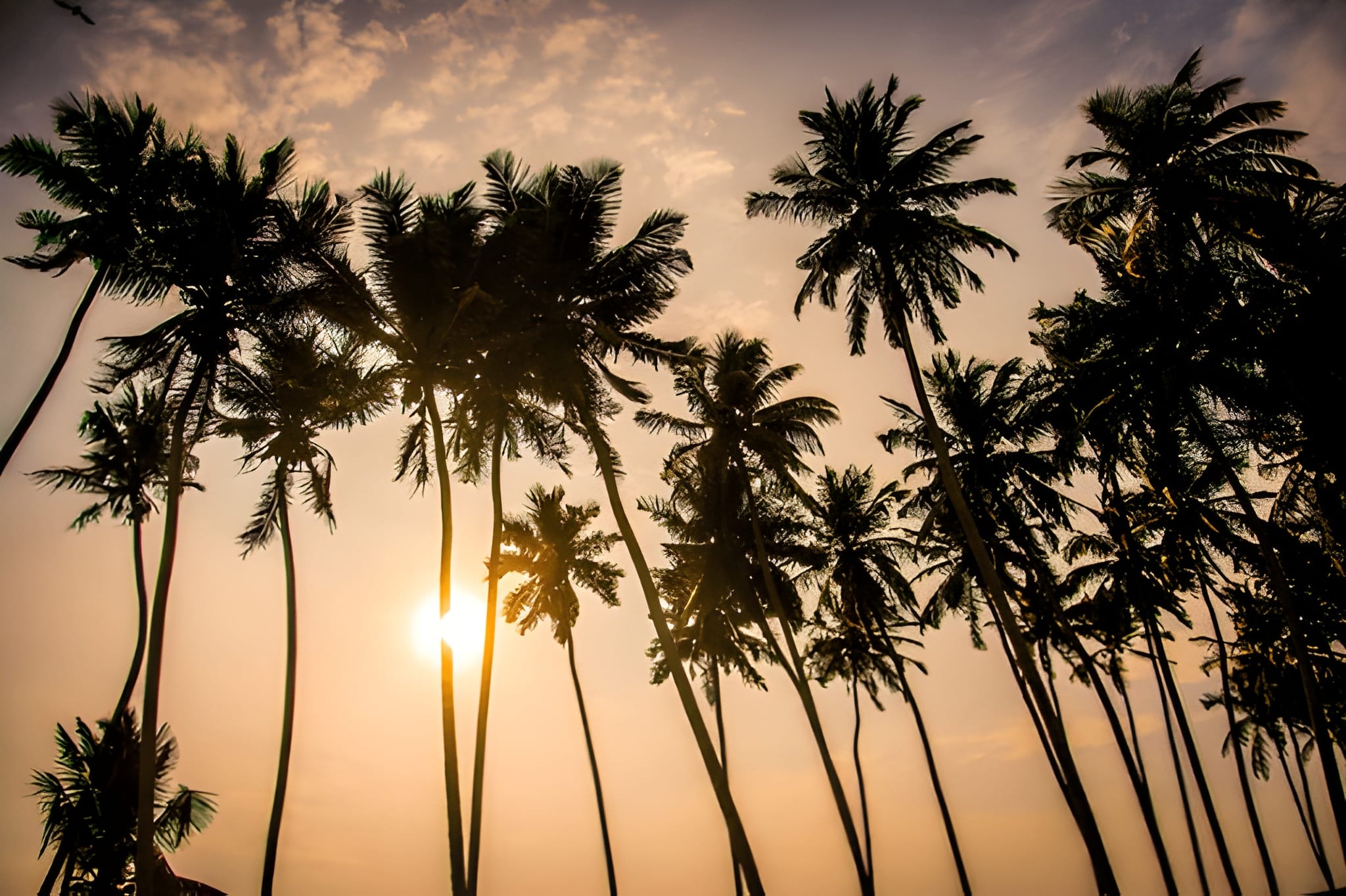 Tickets to Sri Lanka